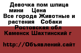 Девочка пом шпица мини  › Цена ­ 30 000 - Все города Животные и растения » Собаки   . Ростовская обл.,Каменск-Шахтинский г.